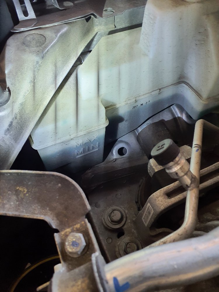 Midas Frankford Courtesy Inspection