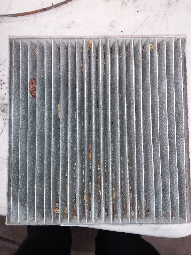 Oakmont Auto Care Auto Repair in Walnut Creek, CA